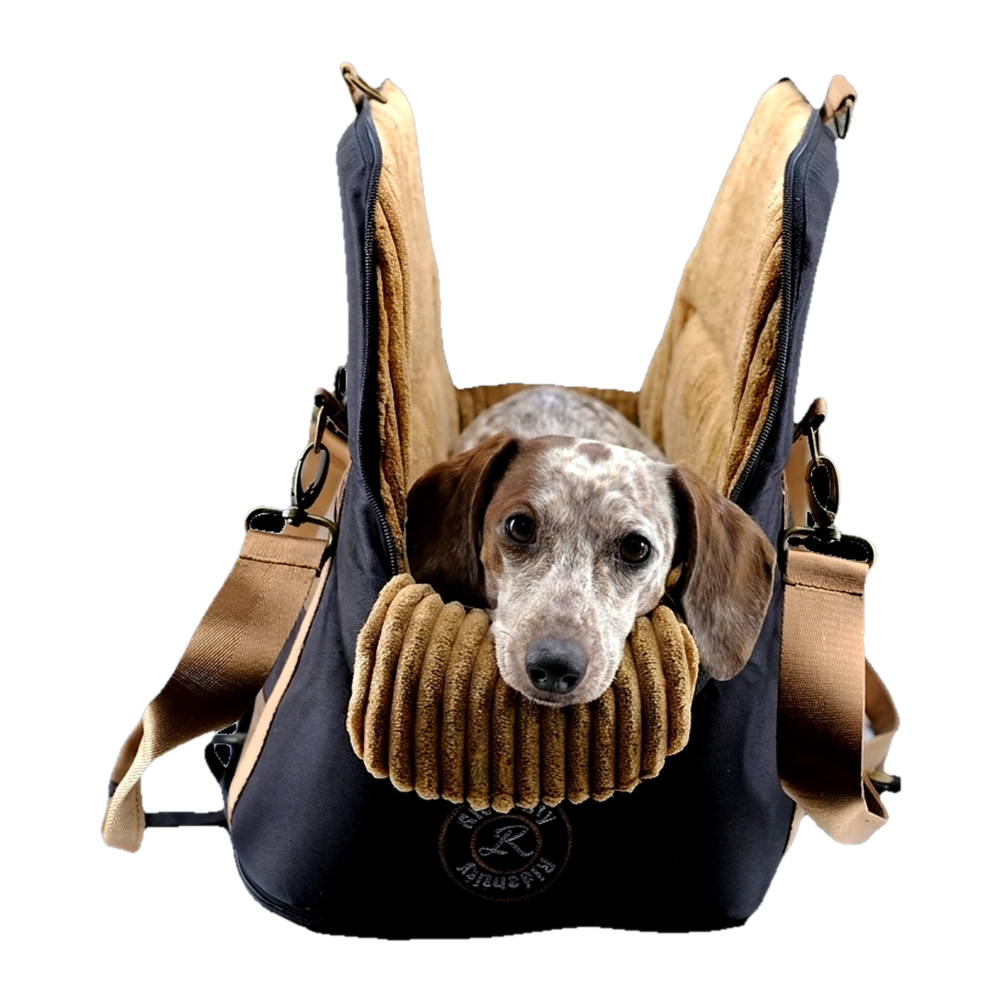 FLY & EVERYWHERE - Schwarz-Camel