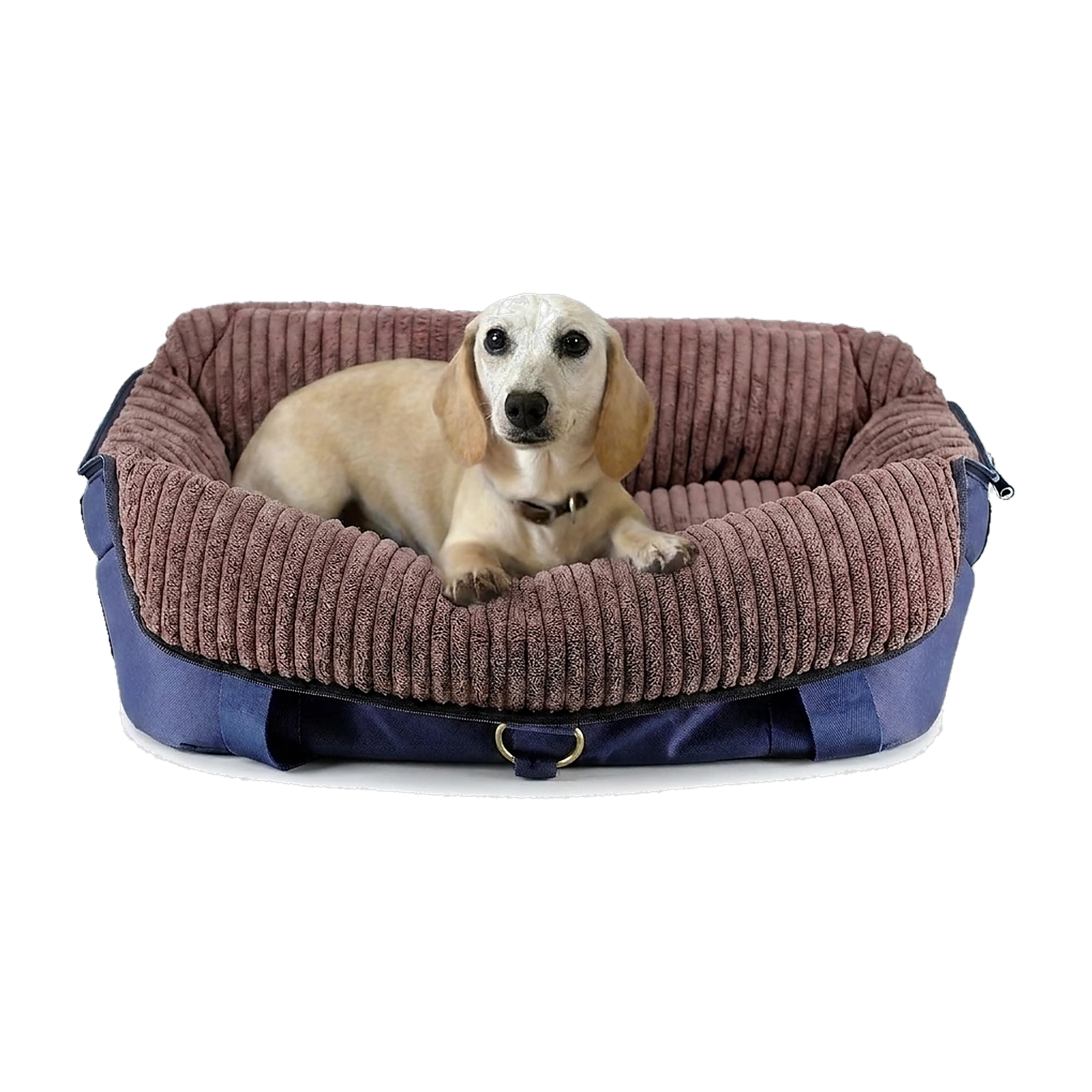 FLY & EVERYWHERE – Navy-Schoko