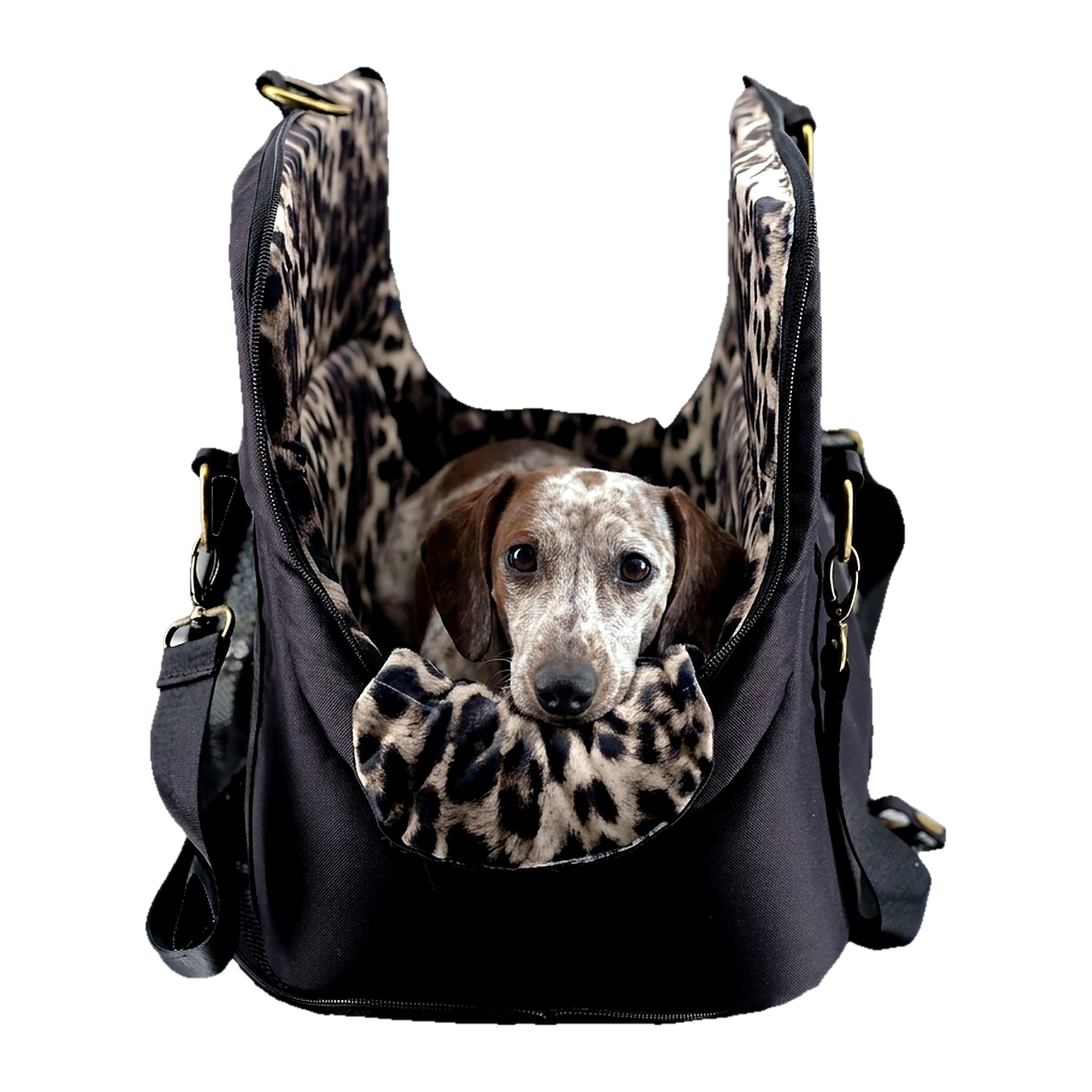 FLY & EVERYWHERE - Schwarz-Leo
